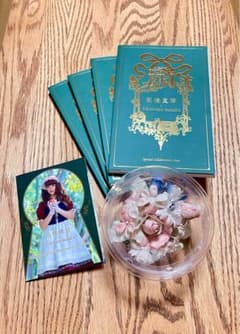 Victorian Maiden 高橋真琴 タイツ コサージュ ヴィクトリアン Victorian Maiden 高橋真琴 タイツ コサージュ ヴィクトリアン - メルカリ