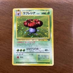 【旧裏】ラフレシアのサムネイル