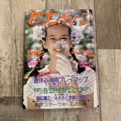北からの流れ者様 リクエスト 2点 まとめ商品のサムネイル