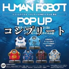 HUMAN ROBOT GhoSTee 沖縄限定 コンプリートのサムネイル