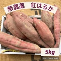無農薬さつまいも　紅はるか　家庭菜園　5kgのサムネイル