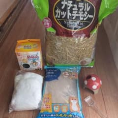 ハムスター 飼育セットのサムネイル