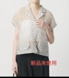 新品○【BEAUTY&YOUTH】シアージャガード ショートスリーブ ブラウス