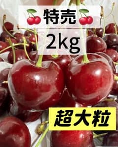 クール便‼️2kg‼️超大粒！9.5r アメリカンチェリー 車厘子さくらんぼ