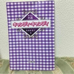 キャンディキャンディ 小説のサムネイル