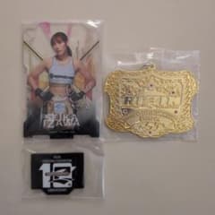 伊澤星花　RIZIN 一番くじ　アクリルスタンド・メタルチャームセットのサムネイル