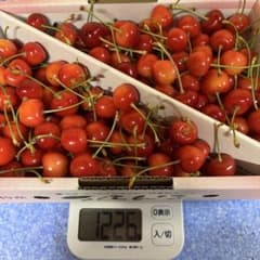 【紅王本日最終】山形県産さくらんぼ やまがた紅王 Lサイズのサムネイル