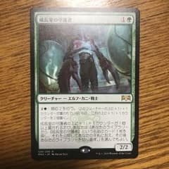 MTG 成長室の守護者のサムネイル
