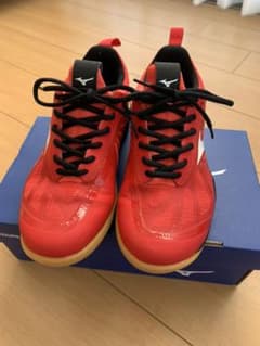 【ももた様】MIZUNOバドミントンシューズ　ウェーブファングゼロ 24.5cmのサムネイル