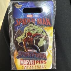 スパイダーマン：ブランニュー・デイ ディズニーワールド 限定のサムネイル