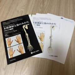 末梢神経と筋のみかた ビジュアルガイド　※裁断済のサムネイル