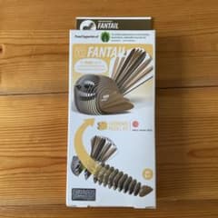FANTAIL 골판지 모델 키트