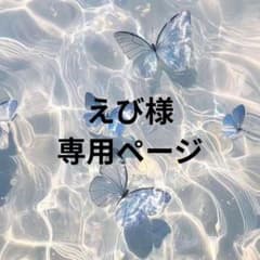えび様 専用ページのサムネイル