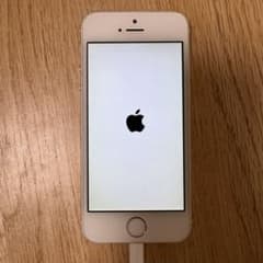 Apple iPhone5s 실버 본체