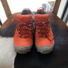 THE NORTH FACE ノースフェイス ヘッジホッグシャドウGTX 24㎝のサムネイル
