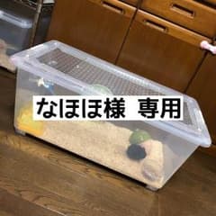ハムスター ケージのサムネイル