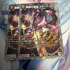 禁断の轟速ブラックゾーン 銀トレジャー 2枚 - メルカリ