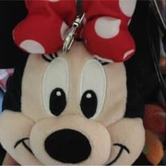 ディズニー  ミニー パスケースのサムネイル