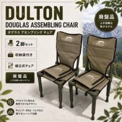 【美品】【廃盤品】DULTON ダグラス アセンブリングチェア 2脚セット 美品】【廃盤品】DULTON ダグラス アセンブリングチェア 2脚セット