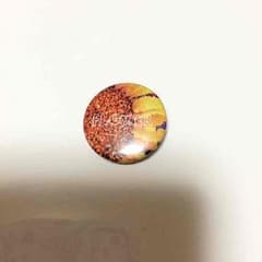 ✴︎ ドクペ様専用 ✴︎のサムネイル
