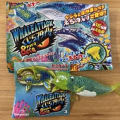 くじらアタックアンドコ　セミクジラのサムネイル