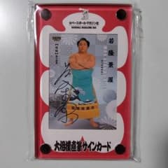 m45803264619_1.jpg?1747313524