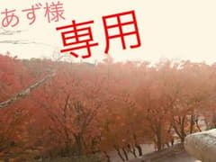 マイケルコース 長財布のサムネイル