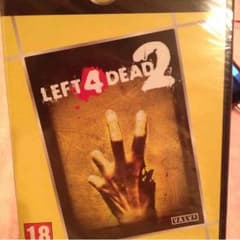 left4dead2 海外版のサムネイル