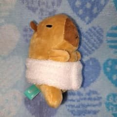 카피바라 목욕탕 목욕 수건 씨