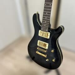 ぴ*け様 gfc ギターファクトリー レスポールタイプ　エレキギター ぴ*け様 gfc ギターファクトリー レスポールタイプ エレキギター