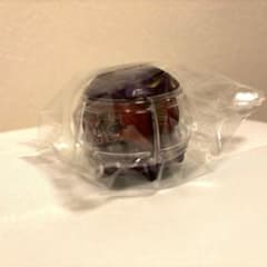 load Flareon Capsule (single item) DX Rider Capsule Set 05