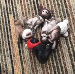 犬 ガチャガチャ キーホルダーのサムネイル