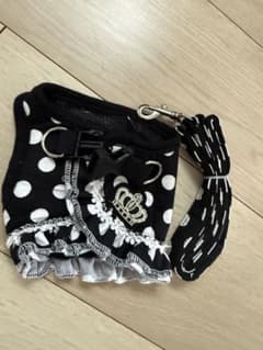 水玉模様の犬服とリードセット sのサムネイル