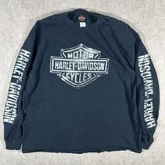 ハーレーダビッドソン ロンT ビッグロゴ クローム 袖プリント ブラック