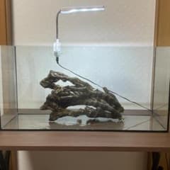 ライブロック新品未使用　休眠バクテリア付き　ドーム型　横幅 25cm、4kg NO7 枝状ライブロック 大型 約 36cm×20cm×13cm 約2.0kg - メルカリ