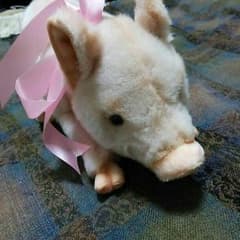 リアル可愛い豚さんのぬいぐるみのサムネイル
