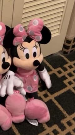 ニューヨークミニーちゃんのサムネイル