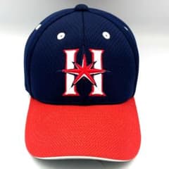 北海道日本ハムファイターズ NPB プロコレキャップ アイングループ