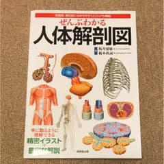 人体解剖図 薬学部のサムネイル