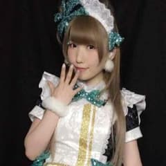 miku様専用(ことりの色紙のサムネイル