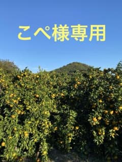 此方は専用です！のサムネイル