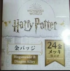 11000 엔 -> 5980 엔! Harry Potter 금 배지 ☆ 24 금 도금 10 종