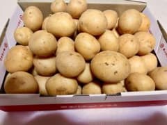 ミネラルたっぷり赤土で育った南国新ジャガイモ（1.3〜1.6kg）のサムネイル