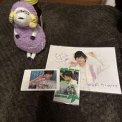 パンダドラゴン なるシープ ぬいぐるみ ハピカ 2L チェキセット - メルカリ