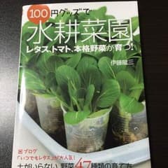 身近なもので野菜栽培！のサムネイル