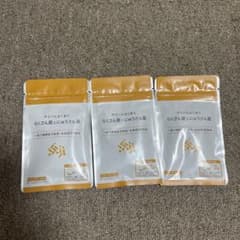 サジー　らくさん菌とにゅうさん菌 3個セットのサムネイル