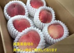 桃農家直送　6日～　夢みずき　２キロ　山梨県笛吹市産　減農薬栽培　出荷敏速のサムネイル