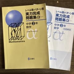 中学２年　数学　実力完成問題集αのサムネイル