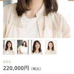 アートネイチャー　ジュリアオージェ　部分ウイッグ　ヘアピース　さらら15 DE2 さらら15FP-2｜女性用ウィッグ・かつら専門店 のジュリア・オージェ（JO）