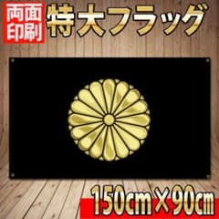 m45848046823_1.jpg?1757595531